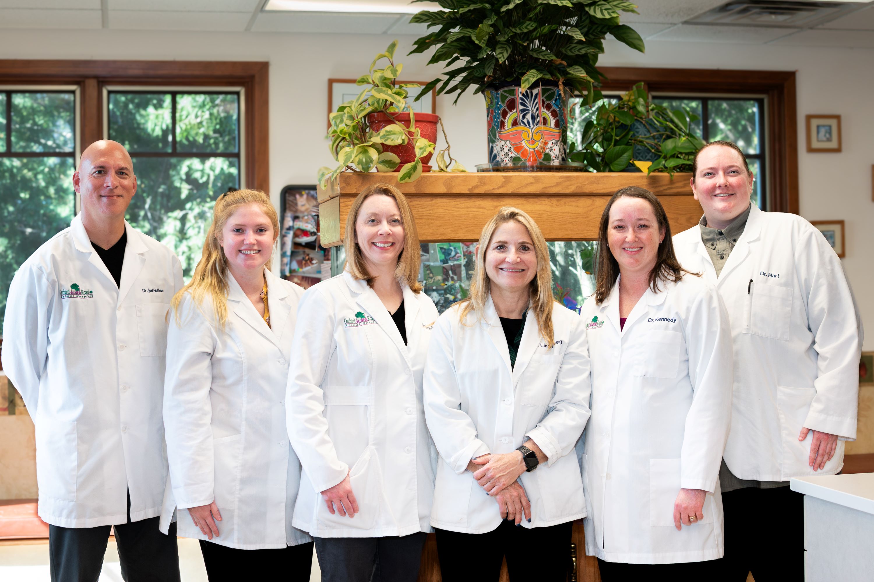 Six Doctors