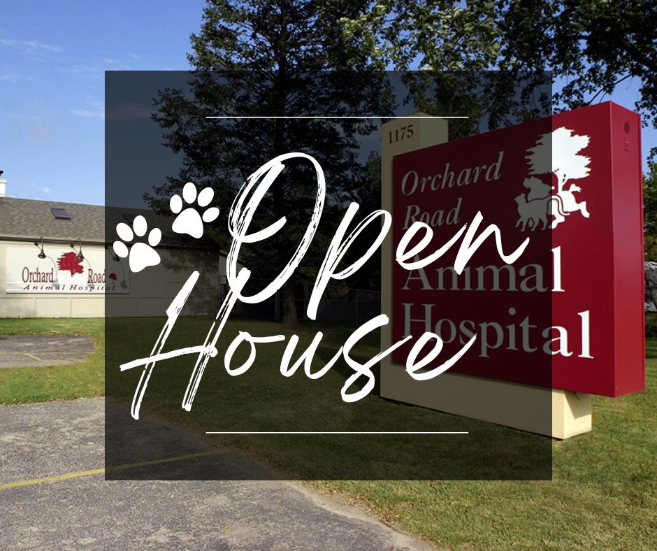 Open House