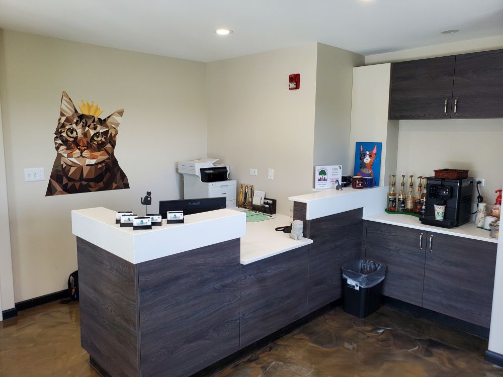 cat clinic 1