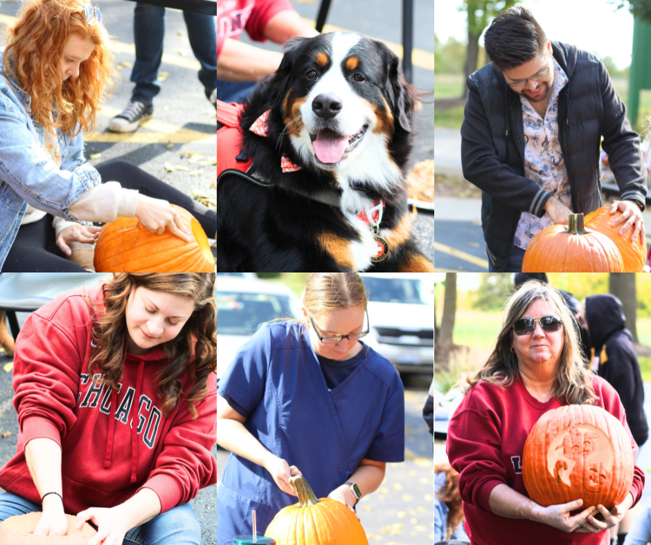 Pumpkin Carving