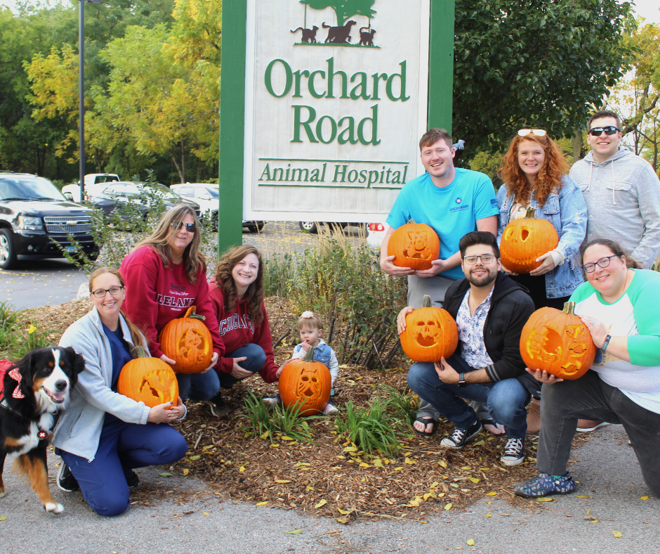 Pumpkin Carving Group