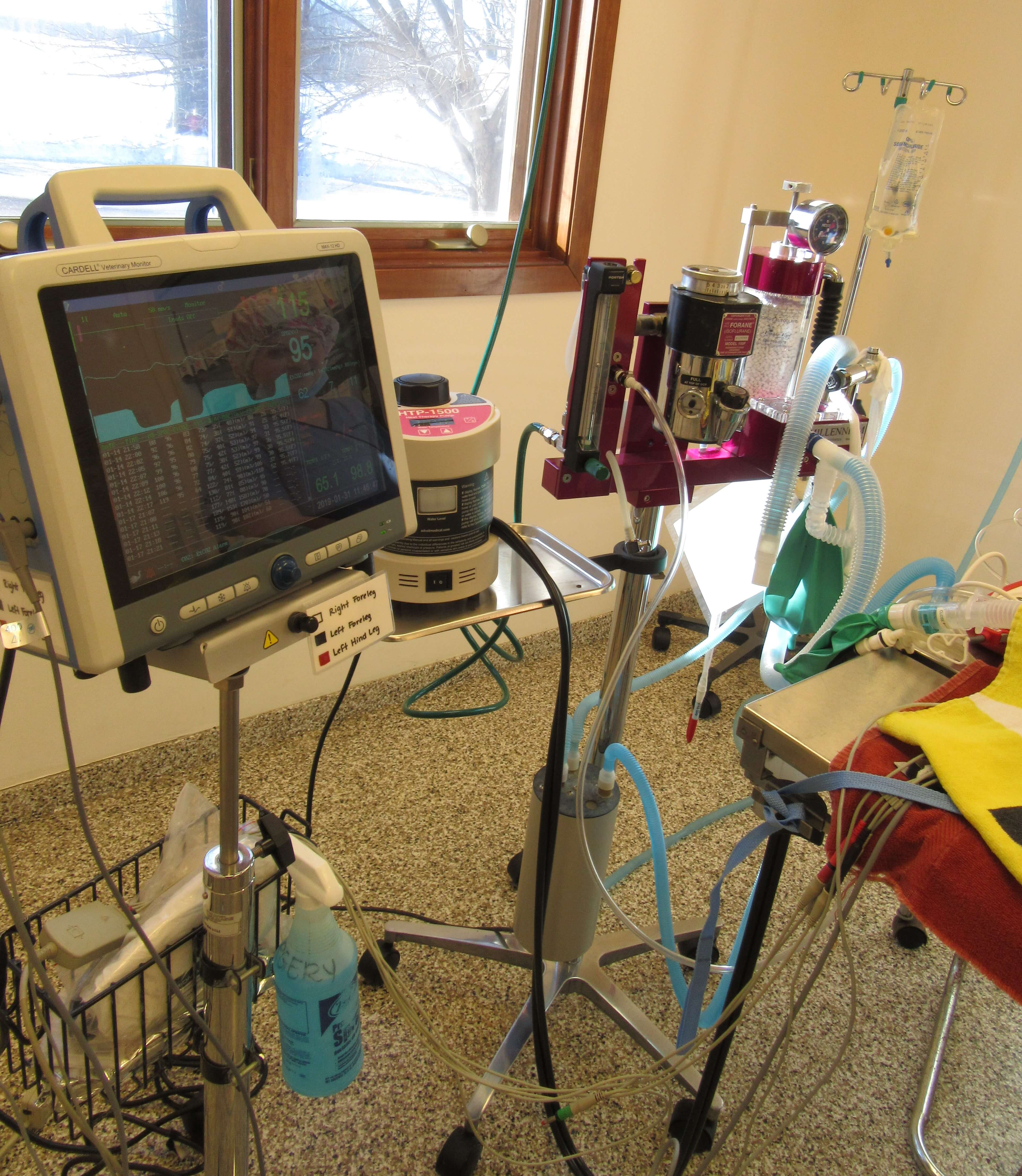 animal hospital surgery monitoring equipment