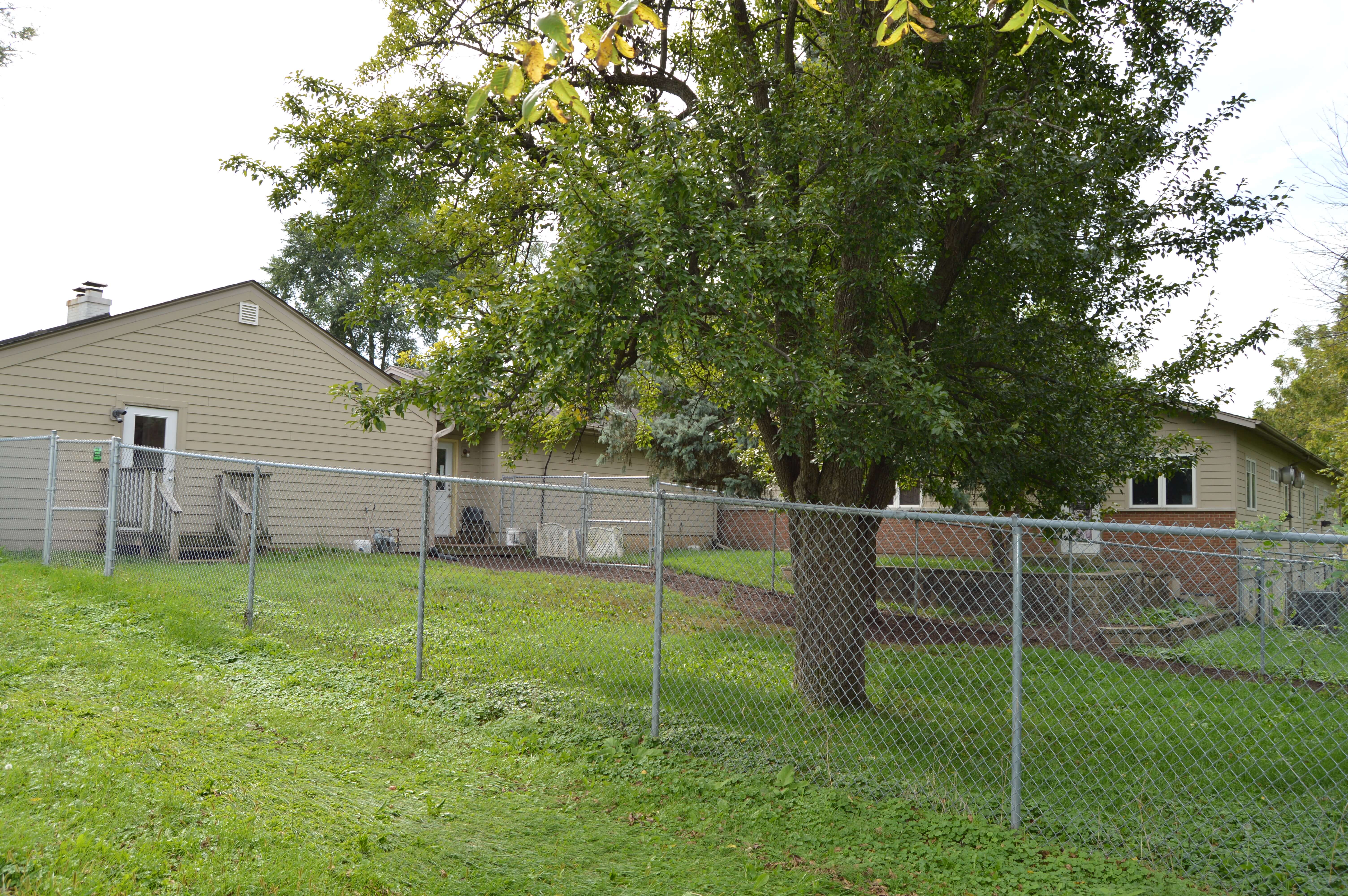 Boarding exercise yard 