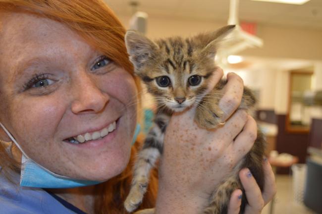 Veterinary nurse holding a kitten and smiling