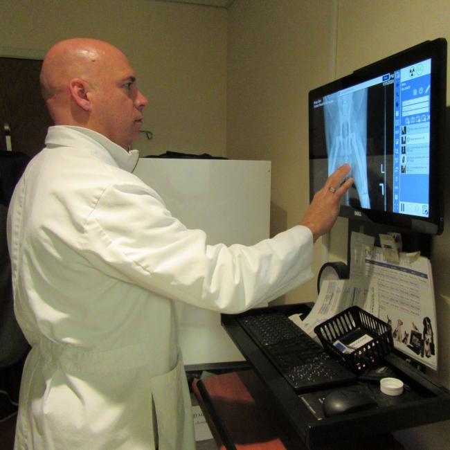Veterinarian manipulating digital X-ray