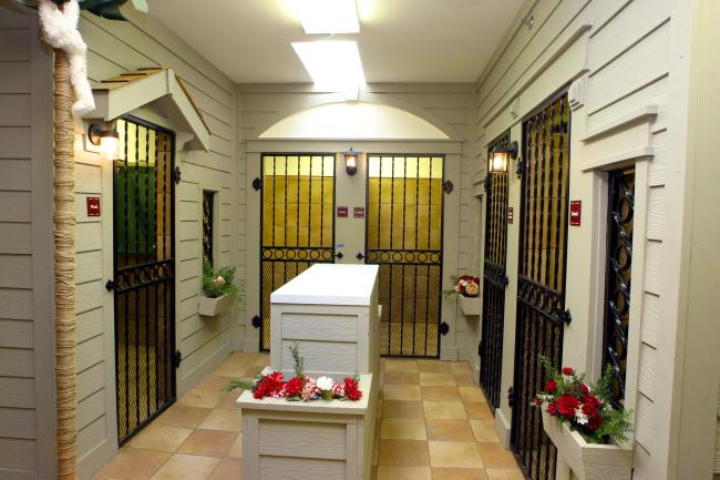 Dog boarding tiled rooms