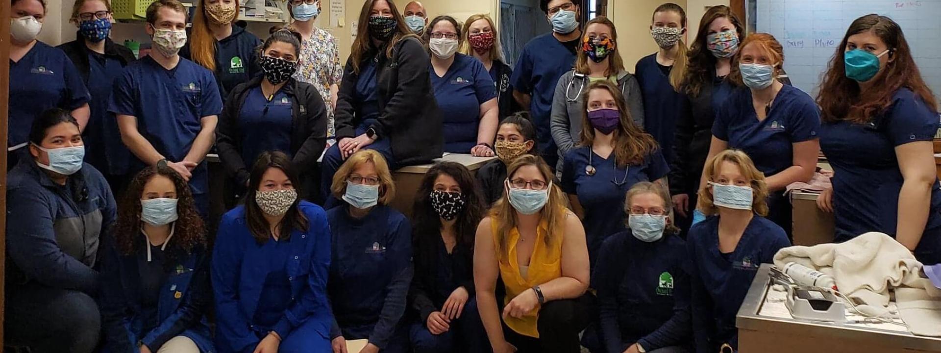 ORAH Veterinary Team wearing masks