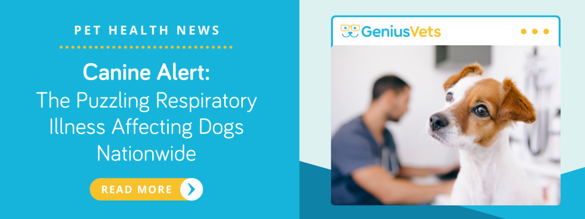 GeniusVets respiratory illness affecting dogs nationwide.