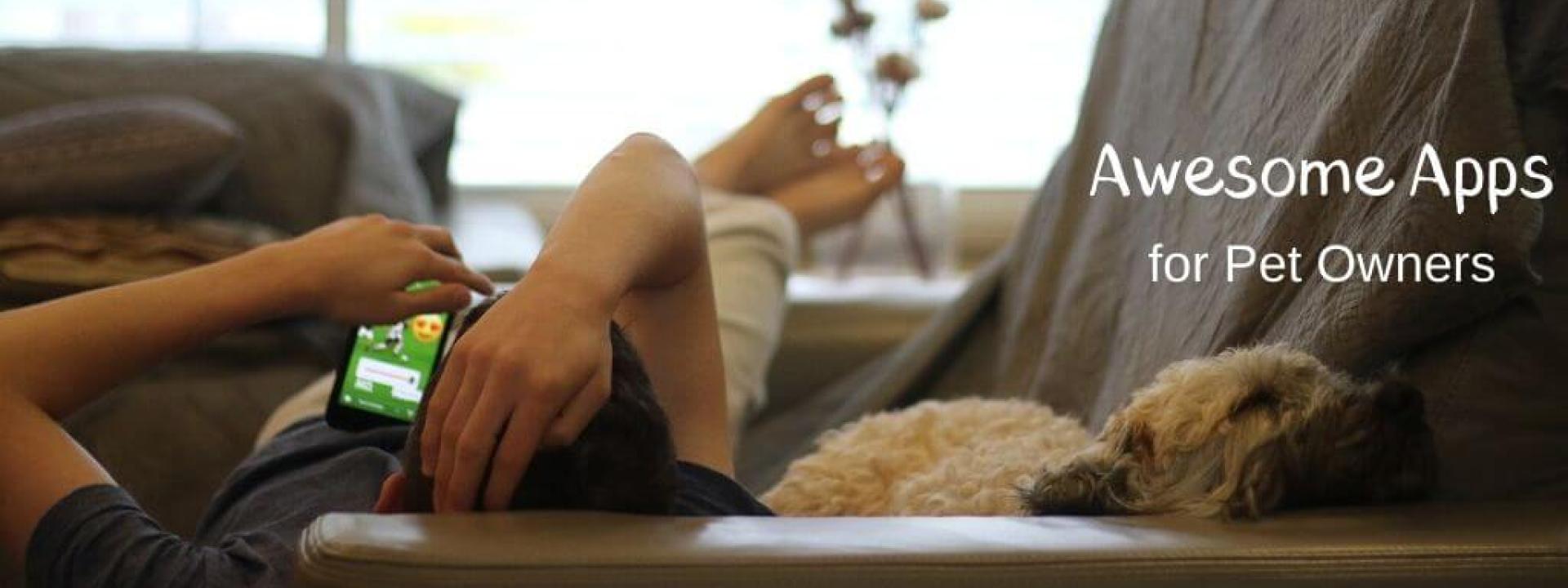 Dog laying next to a man looking at smartphone
