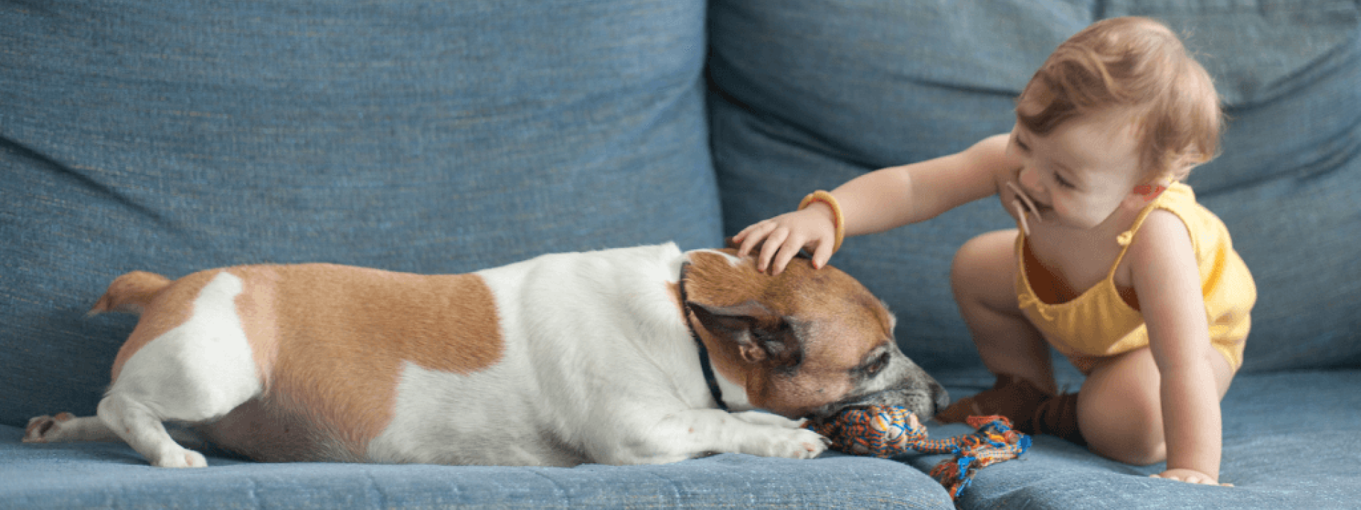 baby petting dog