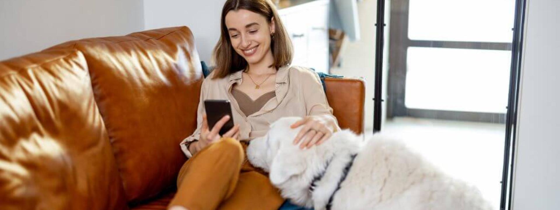 Continuous Glucose Monitoring for Diabetic Dogs with the FreeStyle Libre System