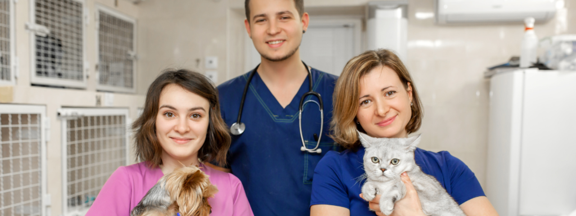 Honoring International Day of Veterinary Medicine