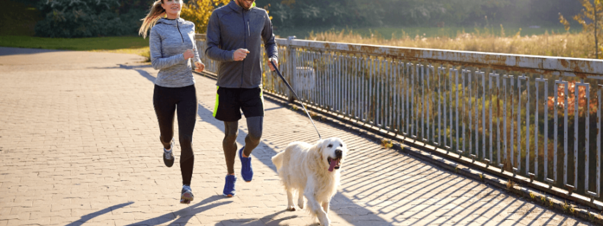 Best dogs to hotsell run with