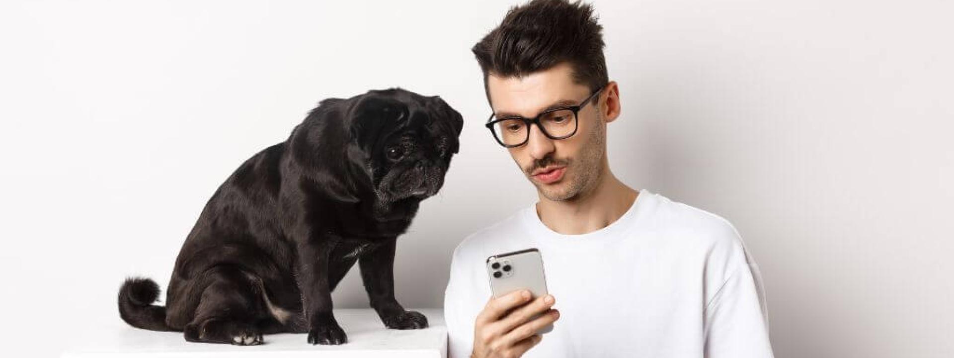 A black pug and its owner shopping on a smart phone