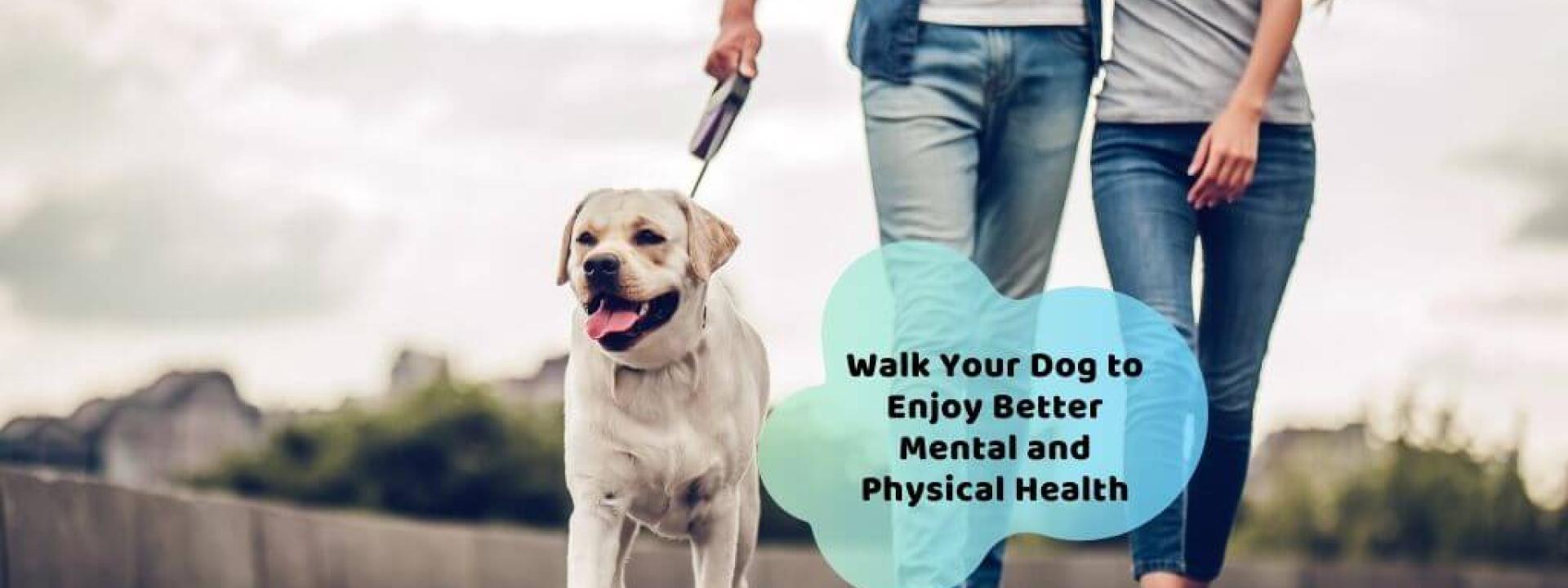 walk your dog for better health