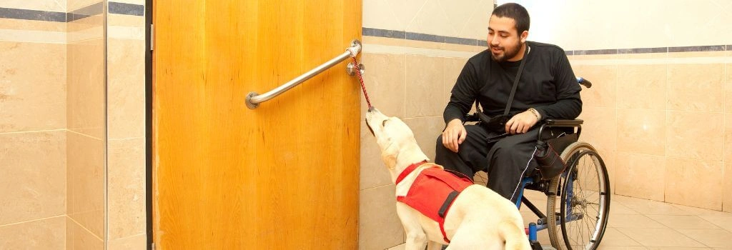 Service dog opening door for handler in wheelchair.