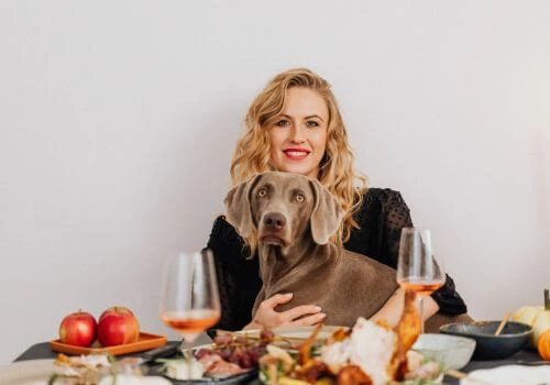 Blonde woman sitting with large gray dog on her lap at Thanksgiving table