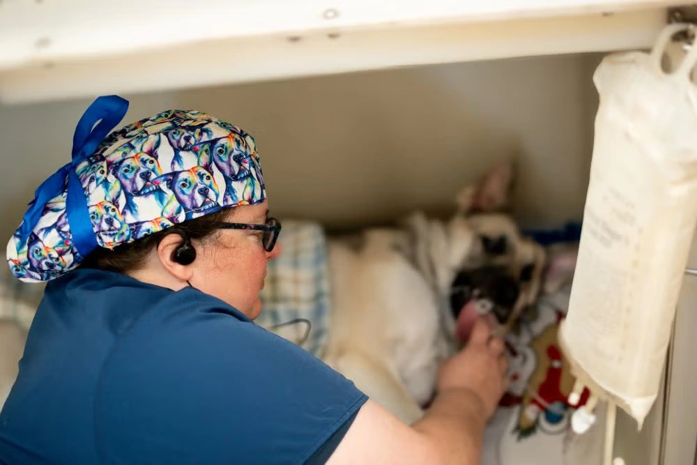 Surgery Annie and DrK