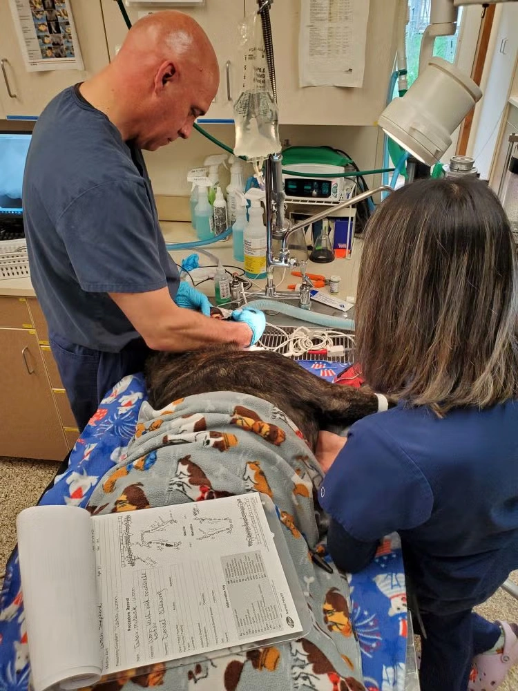 Dr. Huffman and Yaneli Dental