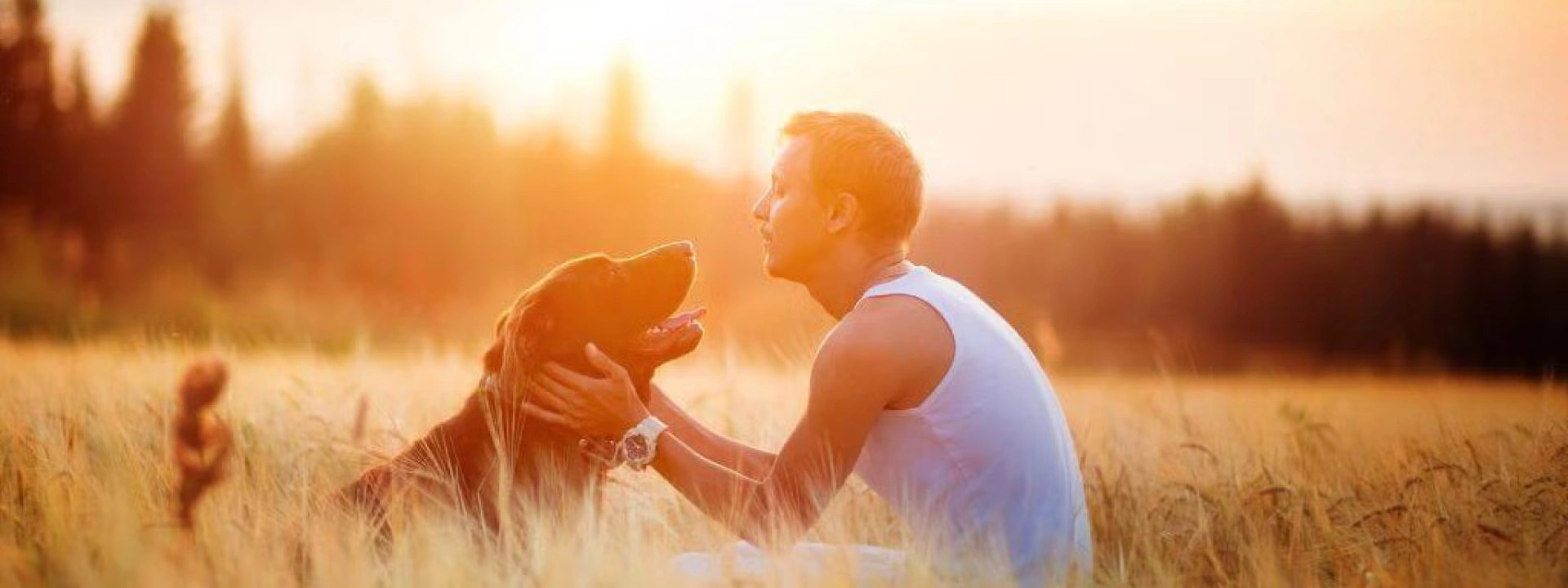 Understanding Pet Euthanasia: What to Expect and How to be Prepared