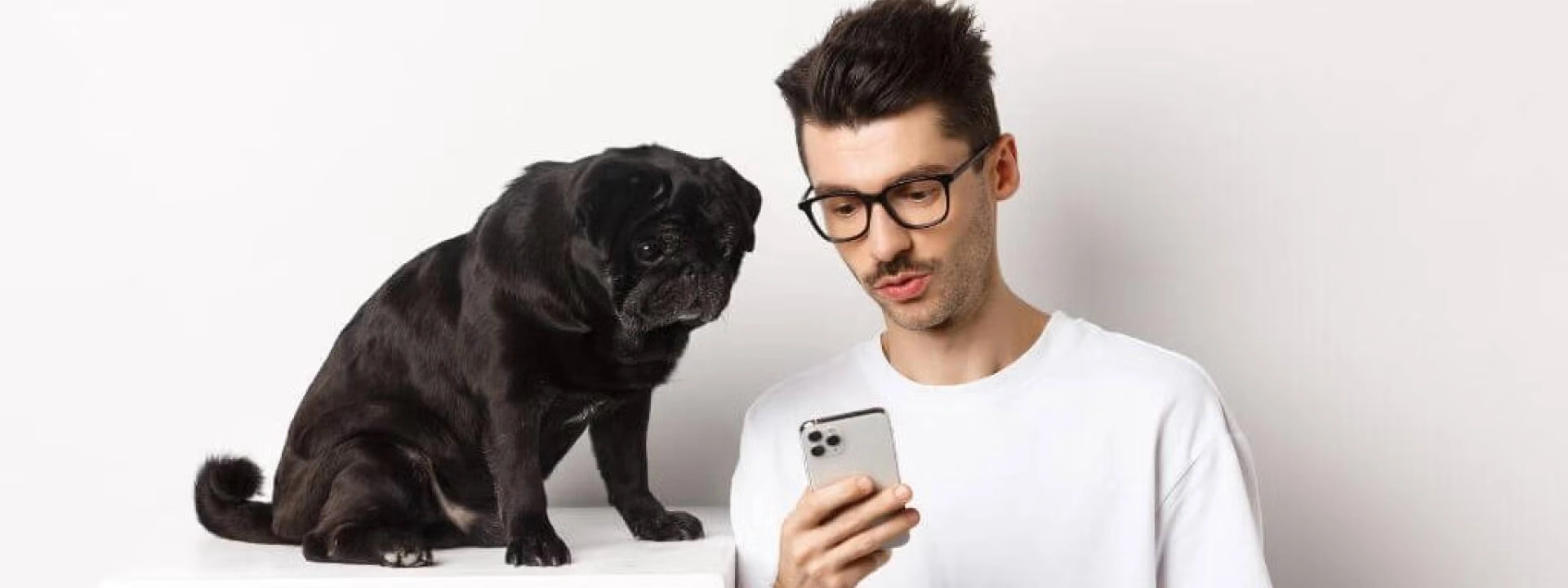 Veterinary Big Box and Online Pricing: Why is My Veterinarian Always More Expensive?