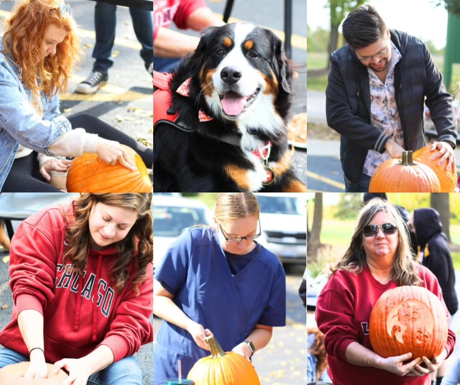 PumpkinCarving