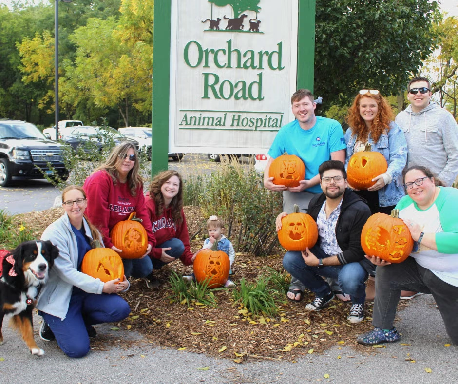 PumpkinCarving