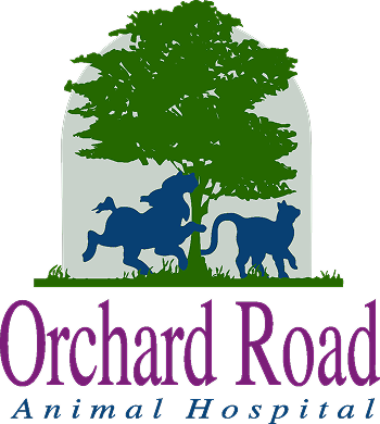Orchard Road Animal Hospital Logo